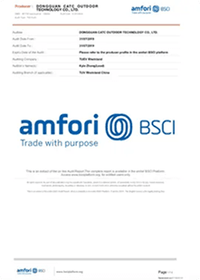 BSCI Audit