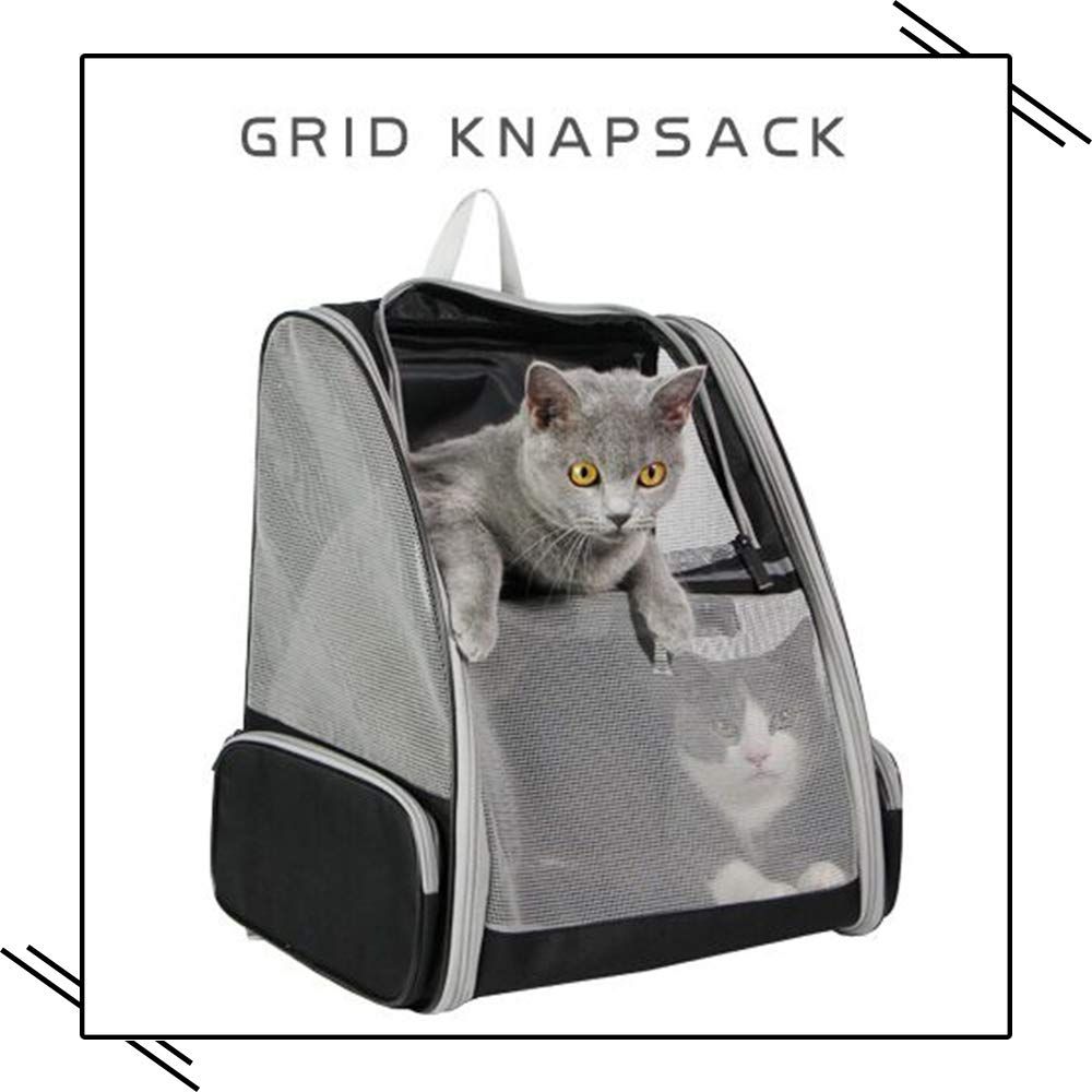 Custom Mesh Cat Backpack Carrier Wholesale | OEM Breathable Pet Knapsack